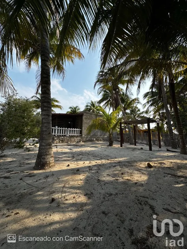 Casa en Renta en San Crisanto, Sinanché, Yucatán | NEX-297898 | iad México | Foto 10 de 23