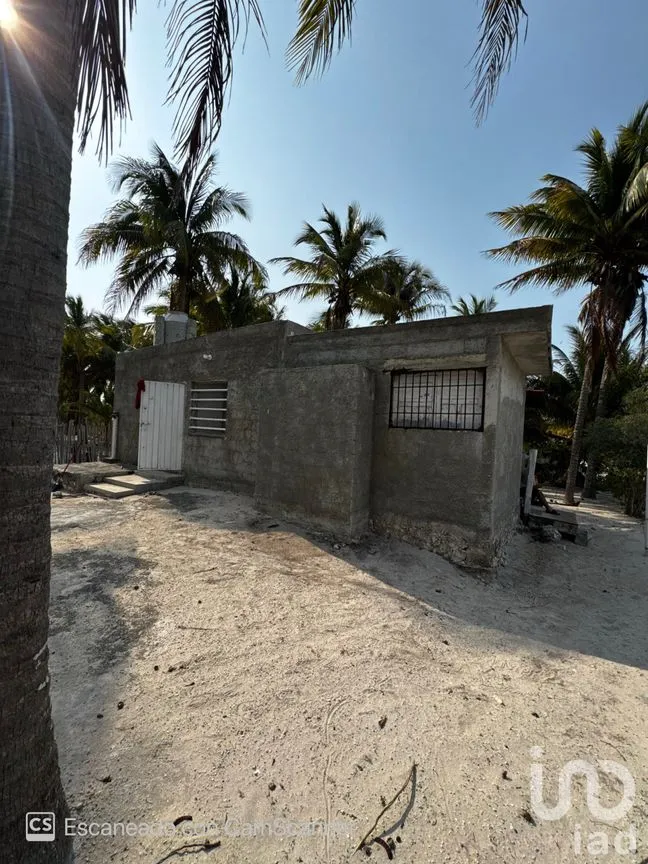 Casa en Renta en San Crisanto, Sinanché, Yucatán | NEX-297898 | iad México | Foto 1 de 23
