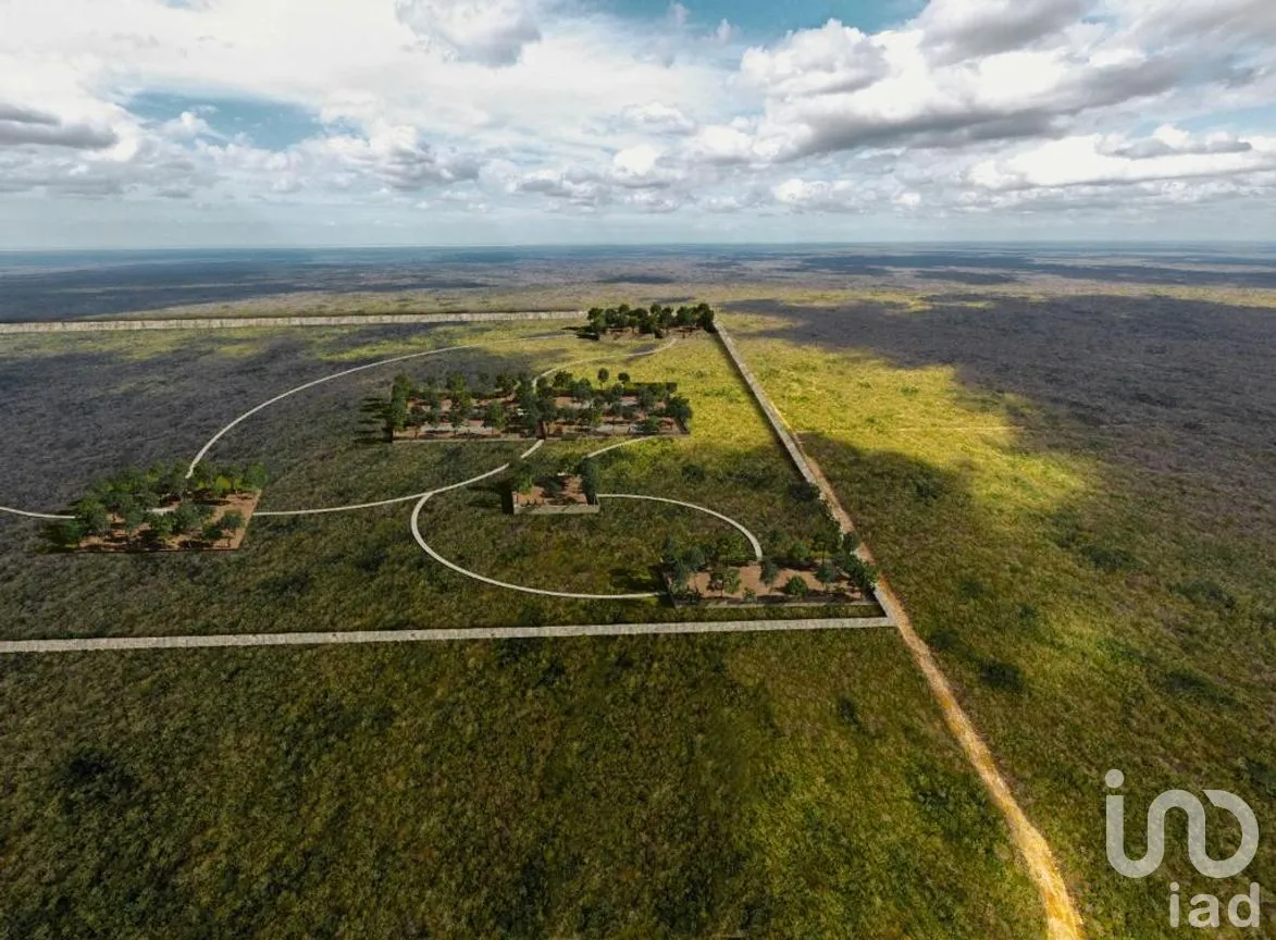 Terreno en Venta en Celestún, Celestún, Yucatán | NEX-190874 | iad México | Foto 5 de 8