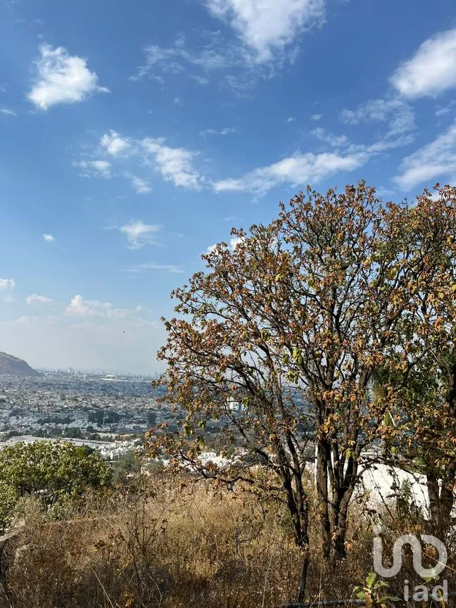 Terreno en Venta en Bugambilias, Zapopan, Jalisco | NEX-250114 | iad México | Foto 5 de 7