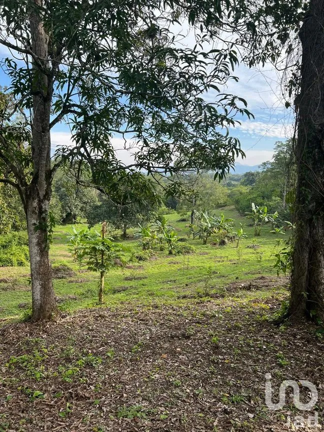 Terreno en Venta en Rancho Nuevo, Axtla de Terrazas, San Luis Potosí | NEX-295011 | iad México | Foto 11 de 14