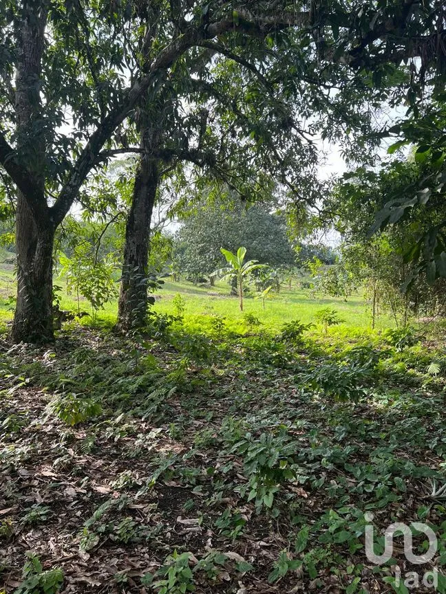 Terreno en Venta en Rancho Nuevo, Axtla de Terrazas, San Luis Potosí | NEX-295011 | iad México | Foto 14 de 14