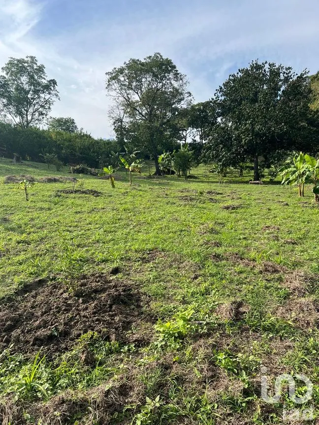 Terreno en Venta en Rancho Nuevo, Axtla de Terrazas, San Luis Potosí | NEX-295011 | iad México | Foto 8 de 14
