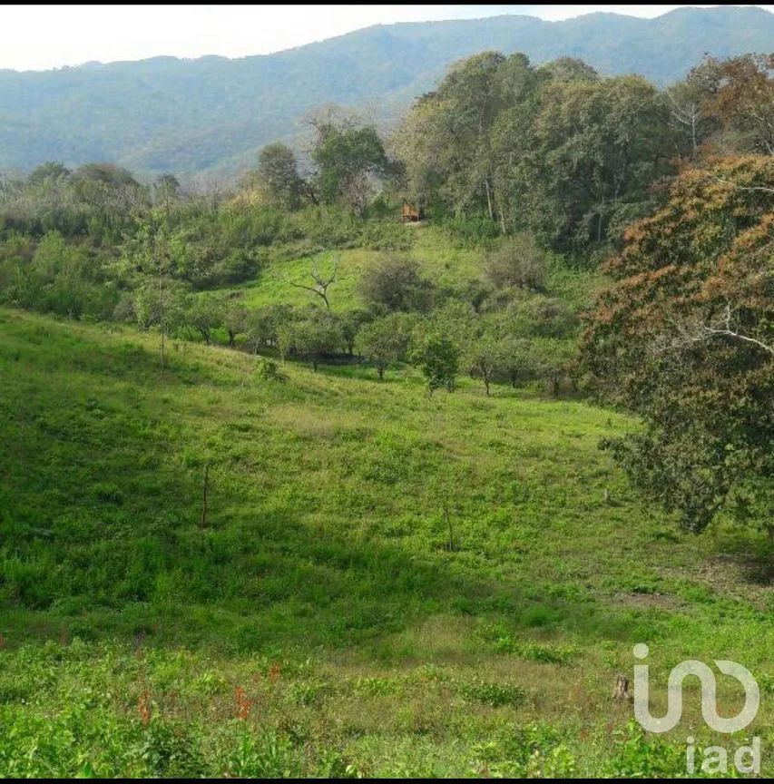 Terreno en Venta en Rancho Nuevo, Axtla de Terrazas, San Luis Potosí | NEX-295011 | iad México | Foto 9 de 14