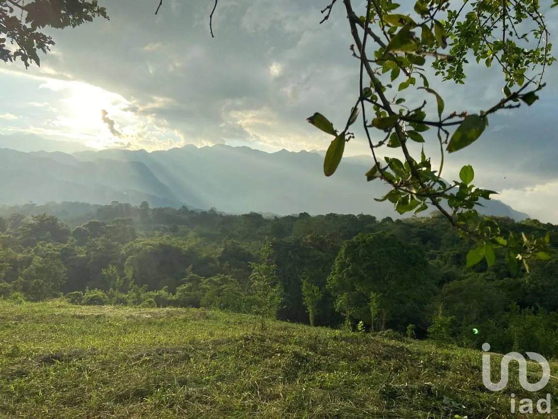 Terreno en Venta en Rancho Nuevo, Axtla de Terrazas, San Luis Potosí | NEX-295011 | iad México | Foto 10 de 14