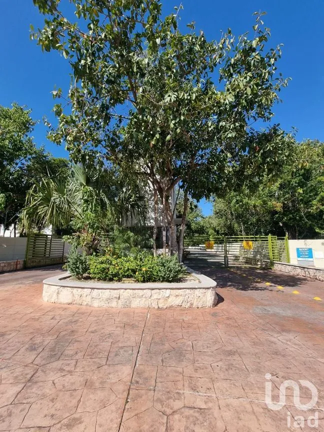 Casa en Venta en Los Olivos, Solidaridad, Quintana Roo | NEX-78135 | iad México | Foto 5 de 19