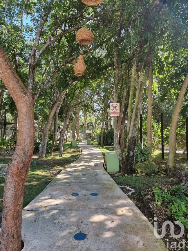 Casa en Venta en Los Olivos, Solidaridad, Quintana Roo | NEX-78135 | iad México | Foto 6 de 19