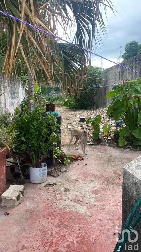 Casa en Venta en Mérida Centro, Mérida, Yucatán | NEX-177060 | iad México | Foto 21 de 28