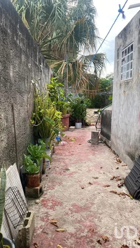 Casa en Venta en Mérida Centro, Mérida, Yucatán | NEX-177060 | iad México | Foto 24 de 28