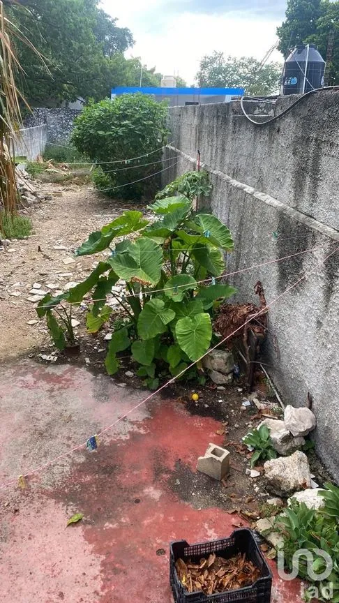 Casa en Venta en Mérida Centro, Mérida, Yucatán | NEX-177060 | iad México | Foto 25 de 28