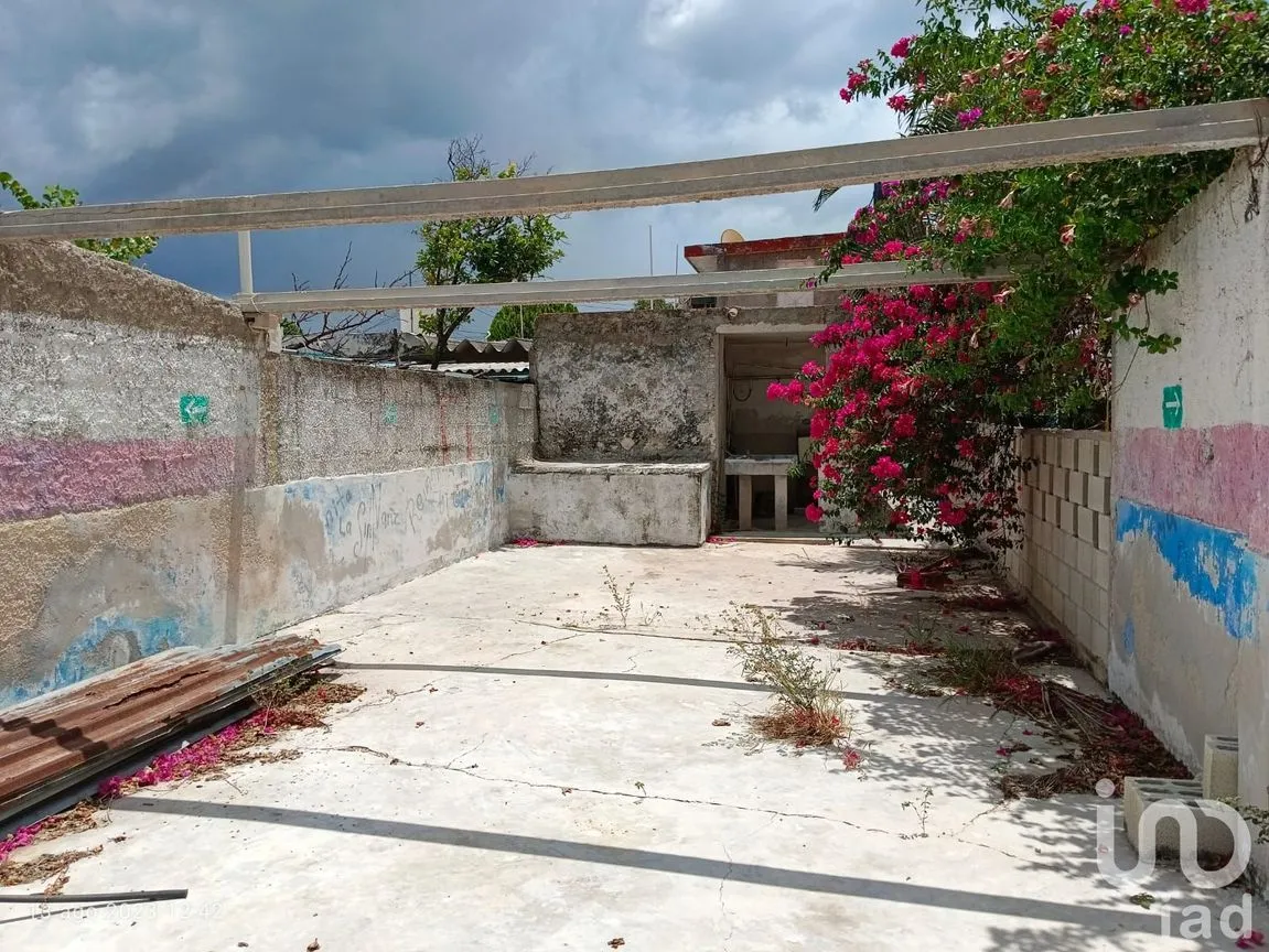 Casa en Venta en Celestún, Celestún, Yucatán | NEX-179366 | iad México | Foto 21 de 27