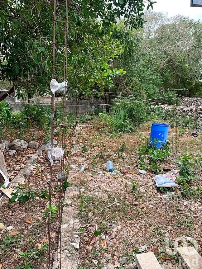 Terreno en Venta en Mérida Centro, Mérida, Yucatán | NEX-217409 | iad México | Foto 12 de 14