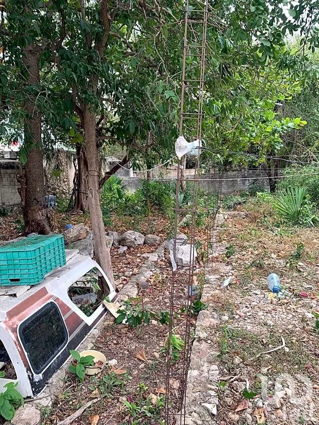 Terreno en Venta en Mérida Centro, Mérida, Yucatán | NEX-217409 | iad México | Foto 13 de 14