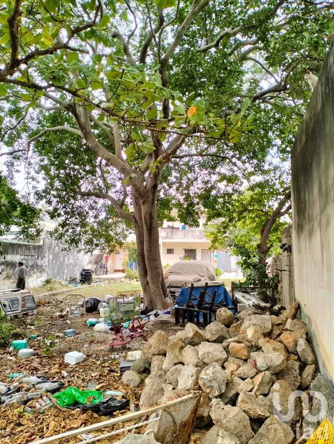 Terreno en Venta en Mérida Centro, Mérida, Yucatán | NEX-217409 | iad México | Foto 6 de 14