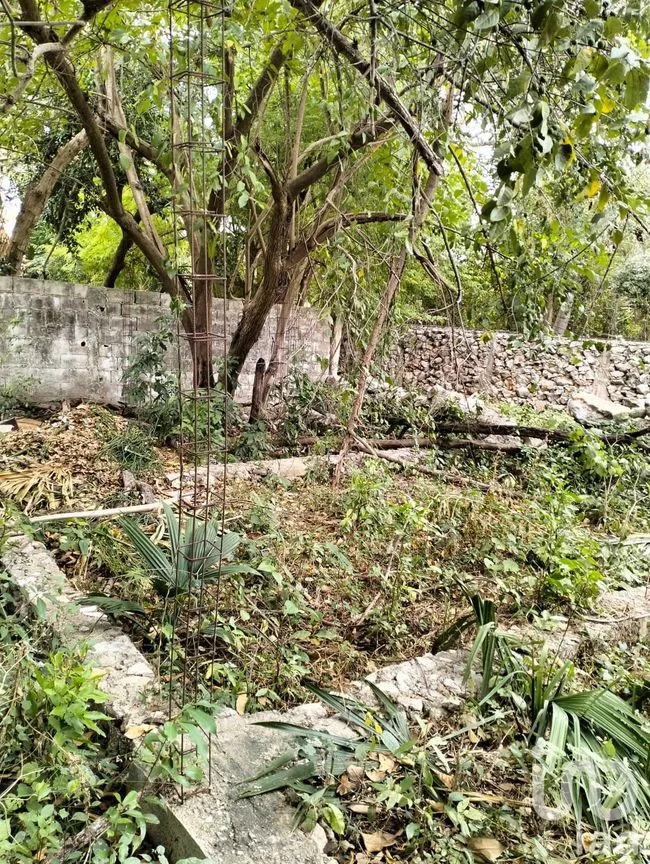 Terreno en Venta en Mérida Centro, Mérida, Yucatán | NEX-217409 | iad México | Foto 7 de 14