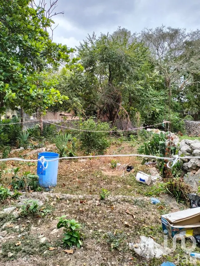 Terreno en Venta en Mérida Centro, Mérida, Yucatán | NEX-217409 | iad México | Foto 8 de 14