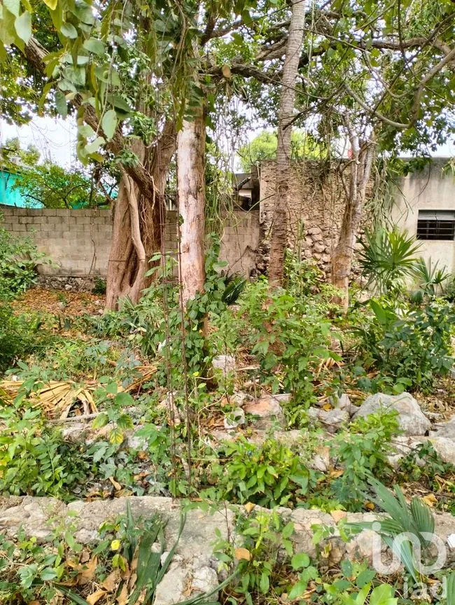 Terreno en Venta en Mérida Centro, Mérida, Yucatán | NEX-217409 | iad México | Foto 9 de 14