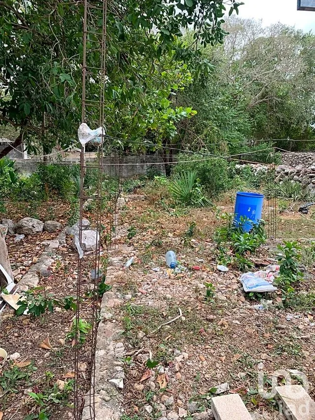 Terreno en Venta en Mérida Centro, Mérida, Yucatán | NEX-217409 | iad México | Foto 12 de 14