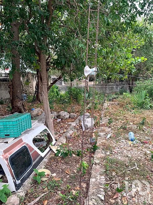 Terreno en Venta en Mérida Centro, Mérida, Yucatán | NEX-217409 | iad México | Foto 13 de 14
