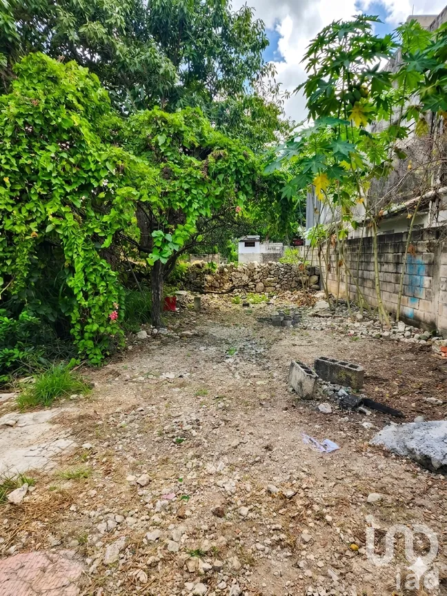 Casa en Venta en Mérida Centro, Mérida, Yucatán | NEX-217409 | iad México | Foto 10 de 12