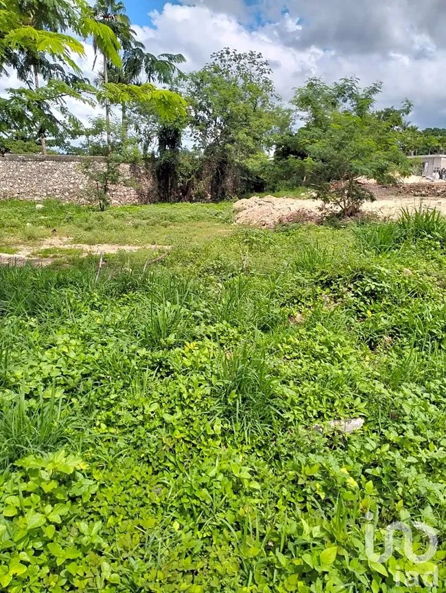 Terreno en Venta en Chichi Suárez, Mérida, Yucatán | NEX-234872 | iad México | Foto 2 de 9