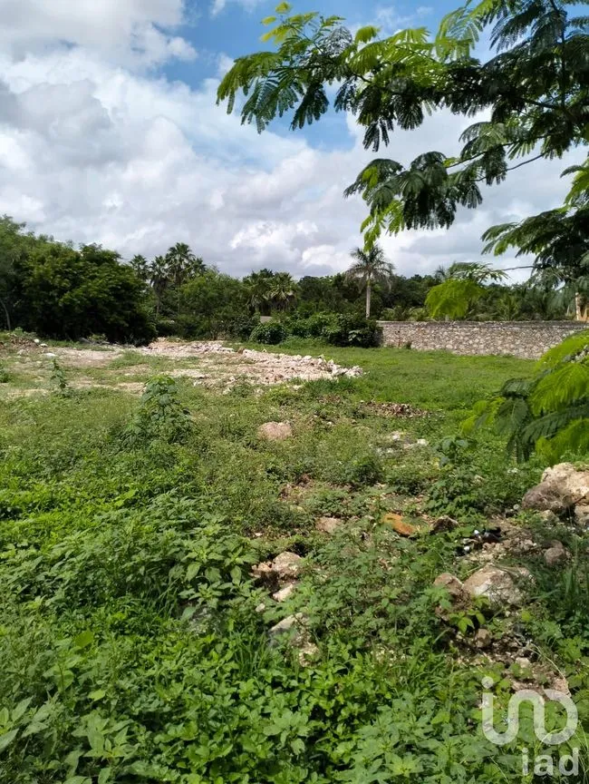 Terreno en Venta en Chichi Suárez, Mérida, Yucatán | NEX-234872 | iad México | Foto 4 de 9