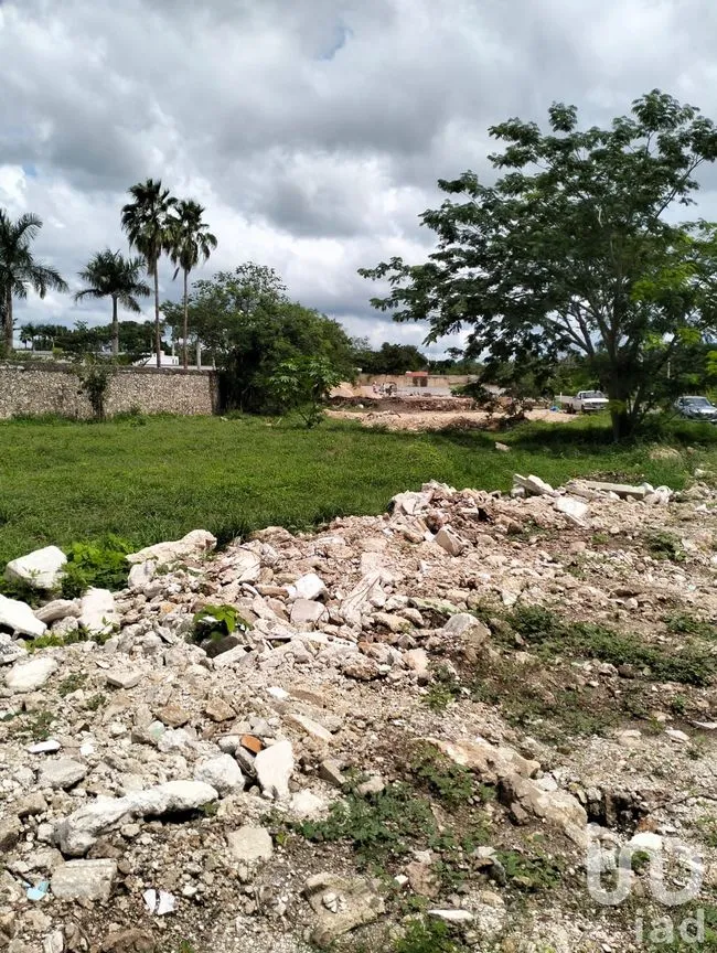 Terreno en Venta en Chichi Suárez, Mérida, Yucatán | NEX-234872 | iad México | Foto 6 de 9