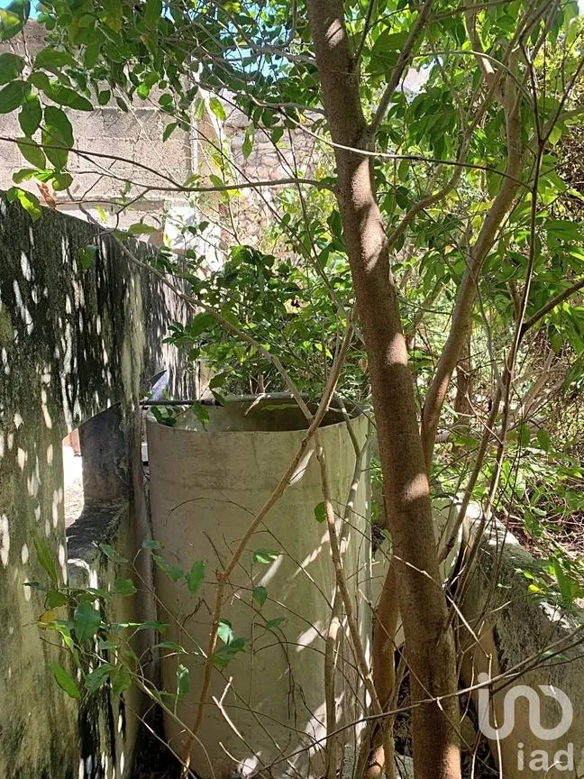 Casa en Venta en Mérida Centro, Mérida, Yucatán | NEX-241183 | iad México | Foto 14 de 20