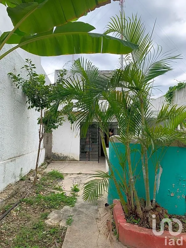 Casa en Venta en Mérida Centro, Mérida, Yucatán | NEX-243582 | iad México | Foto 1 de 18