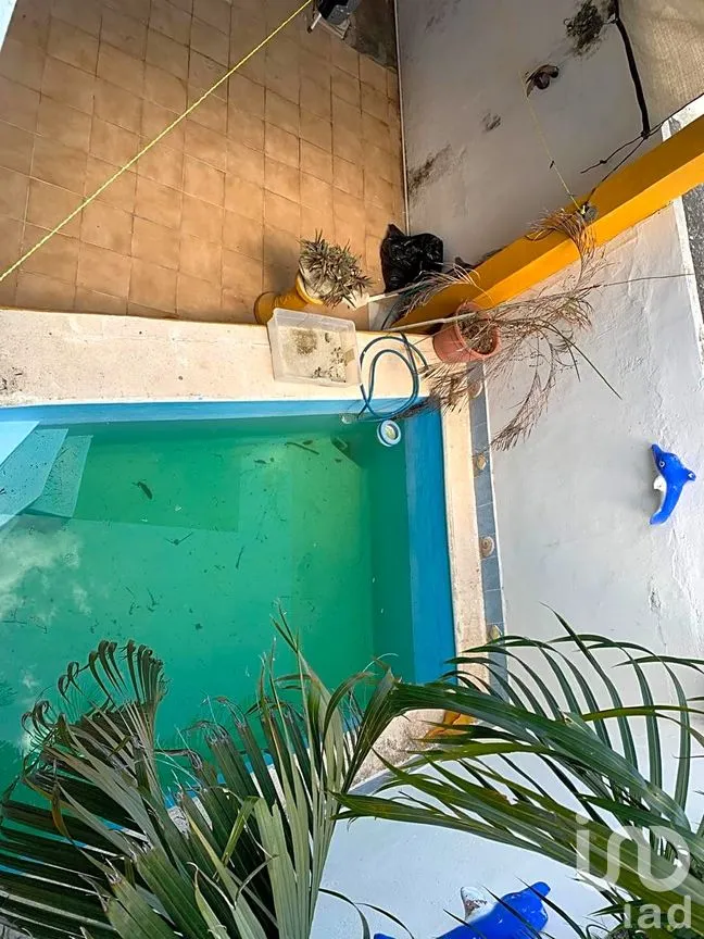 Casa en Venta en Cordeleros de Chuburna, Mérida, Yucatán | NEX-244881 | iad México | Foto 12 de 13