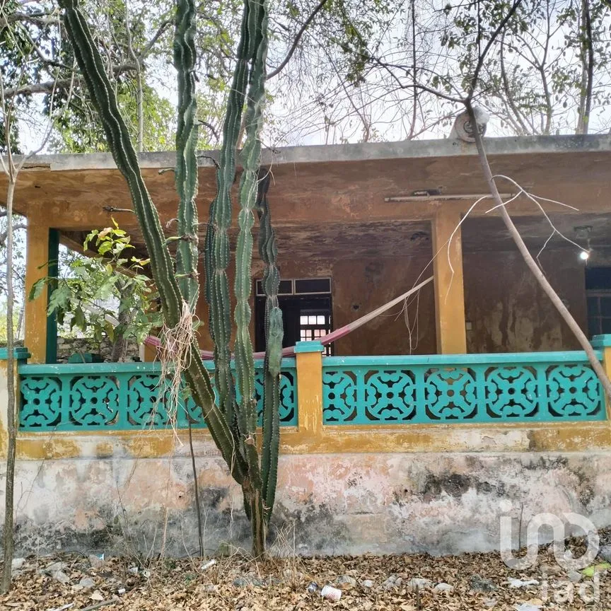 Casa en Venta en Mérida Centro, Mérida, Yucatán | NEX-249621 | iad México | Foto 11 de 17