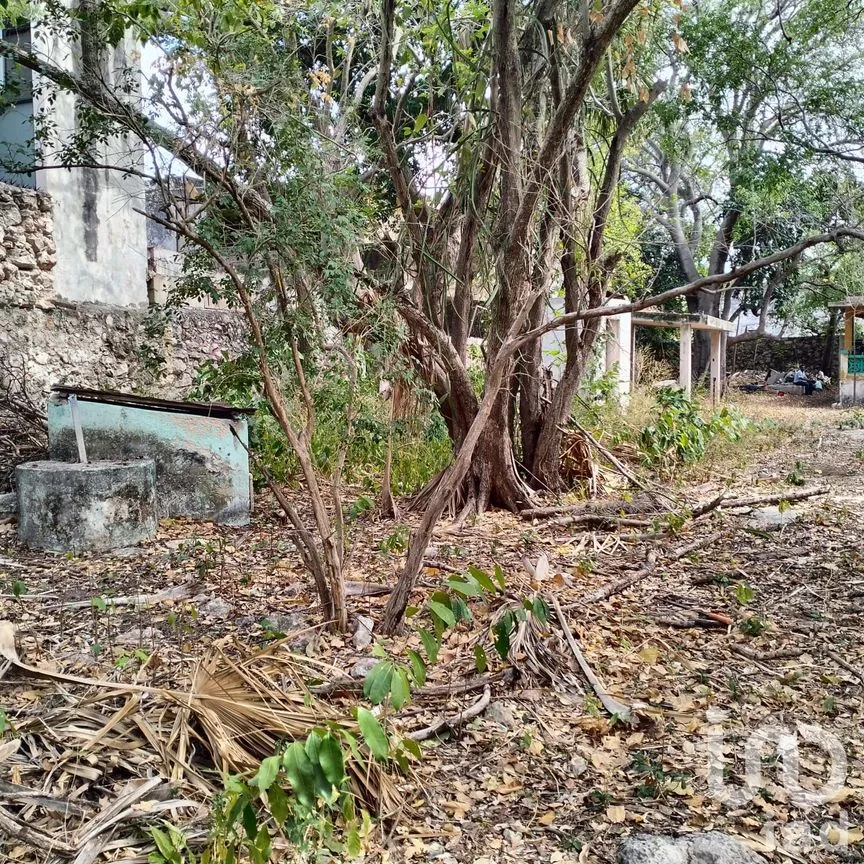 Casa en Venta en Mérida Centro, Mérida, Yucatán | NEX-249621 | iad México | Foto 15 de 17