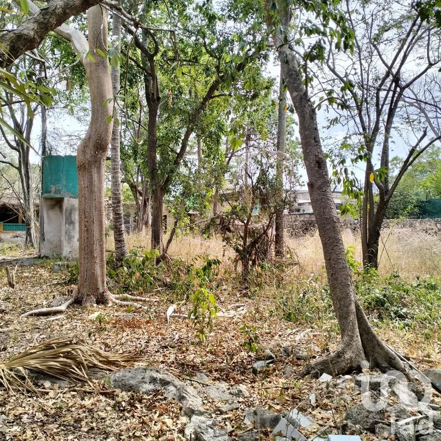 Casa en Venta en Mérida Centro, Mérida, Yucatán | NEX-249621 | iad México | Foto 16 de 17