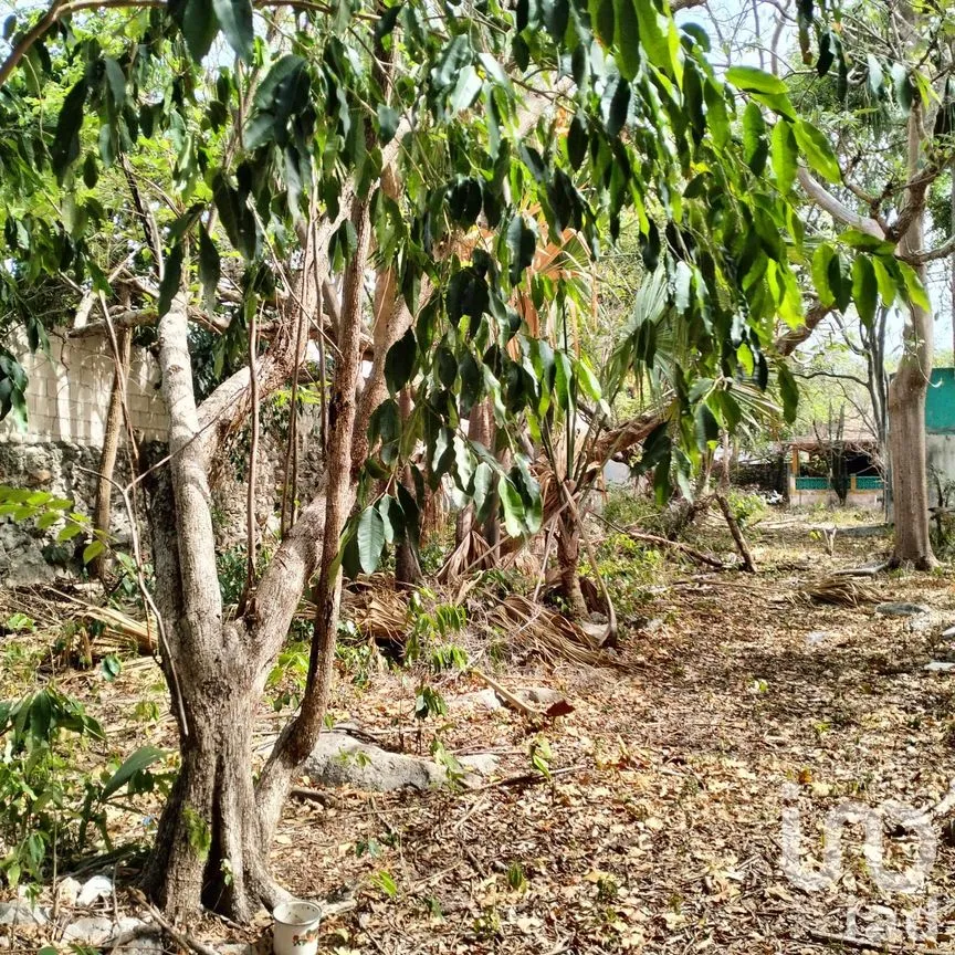 Casa en Venta en Mérida Centro, Mérida, Yucatán | NEX-249621 | iad México | Foto 17 de 17