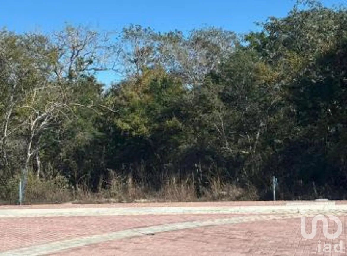Terreno en Venta en Chuburna Puerto, Progreso, Yucatán | NEX-264566 | iad México | Foto 5 de 8