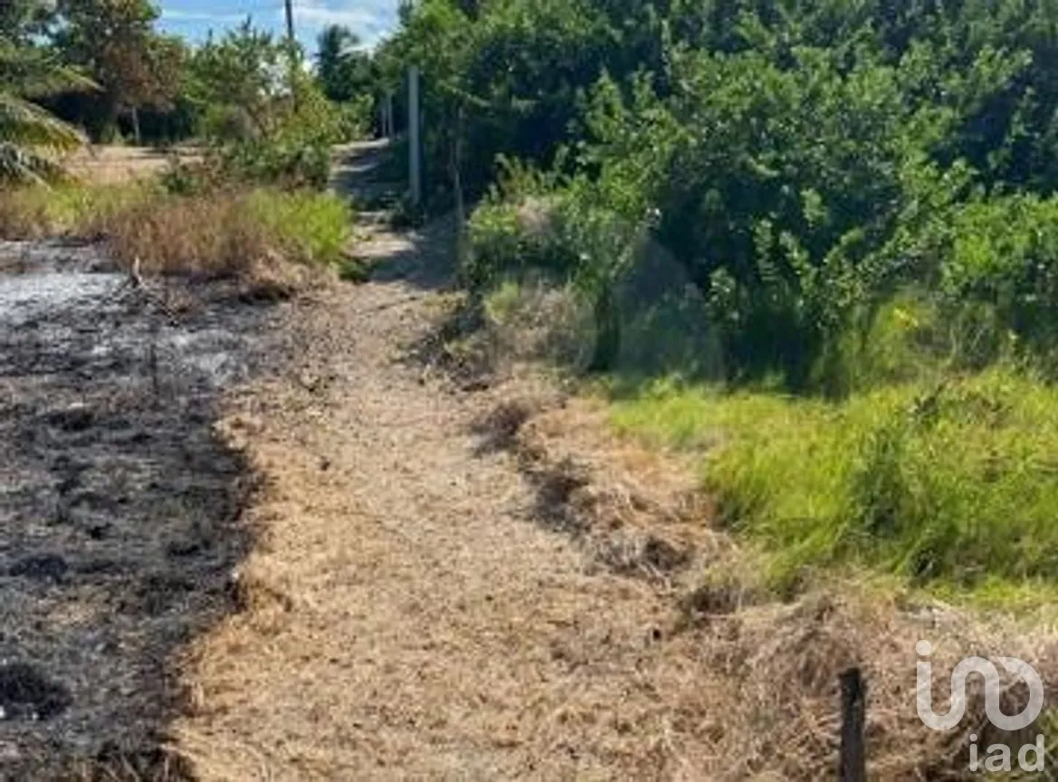 Terreno en Venta en Chuburna Puerto, Progreso, Yucatán | NEX-264566 | iad México | Foto 6 de 8