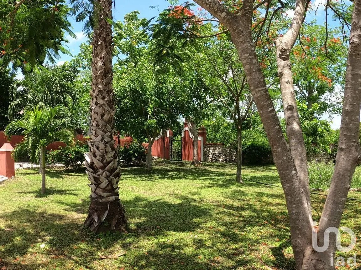 Terreno en Venta en Tinum, Tinum, Yucatán | NEX-265196 | iad México | Foto 2 de 13