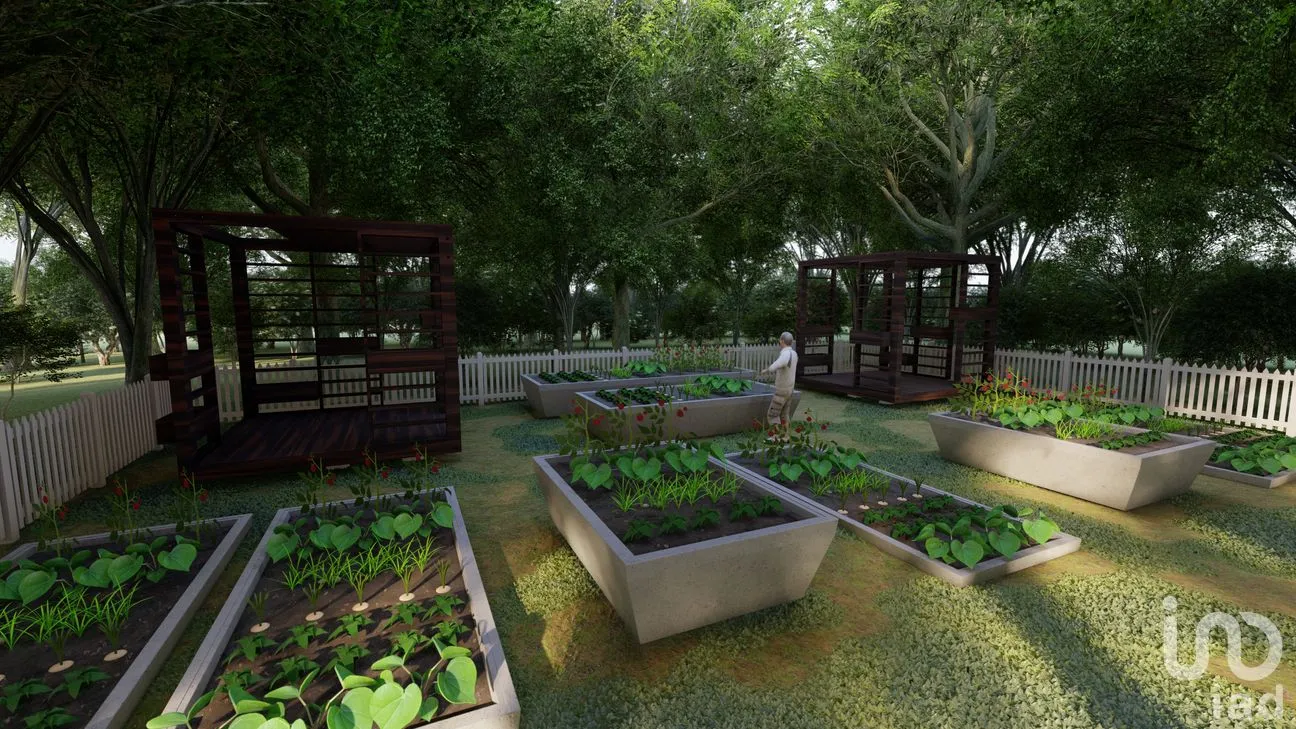 Terreno en Venta en Tinum, Tinum, Yucatán | NEX-265196 | iad México | Foto 13 de 13