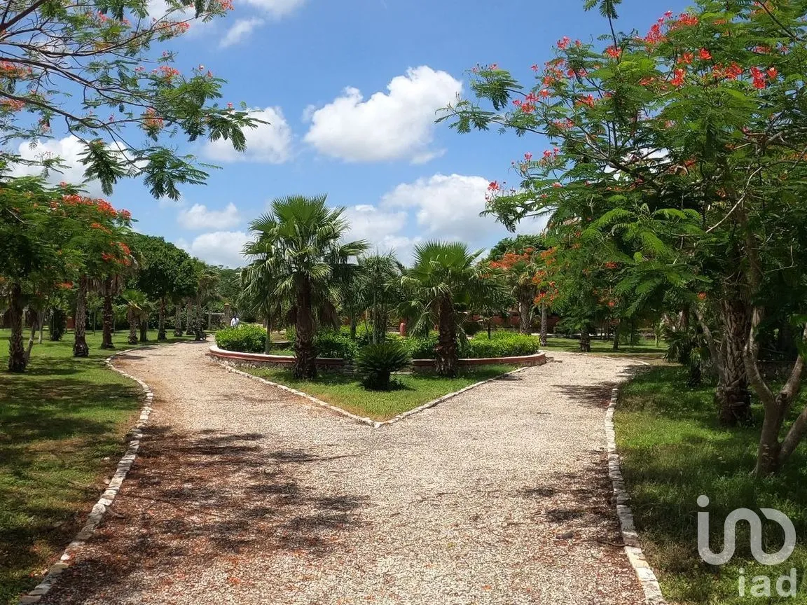 Terreno en Venta en Tinum, Tinum, Yucatán | NEX-265196 | iad México | Foto 6 de 13