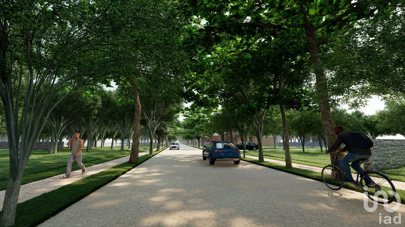 Terreno en Venta en Tinum, Tinum, Yucatán | NEX-265196 | iad México | Foto 10 de 13