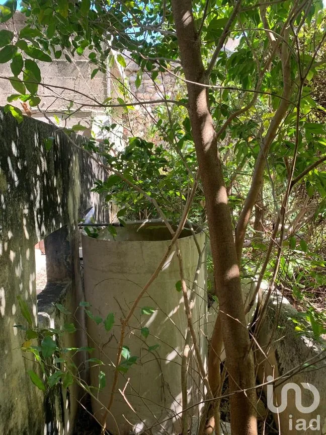 Casa en Venta en Mérida Centro, Mérida, Yucatán | NEX-60340 | iad México | Foto 11 de 13