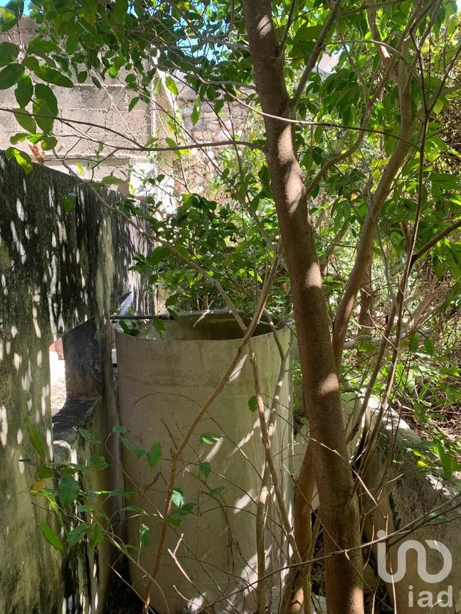 Casa en Venta en Mérida Centro, Mérida, Yucatán | NEX-60340 | iad México | Foto 11 de 13