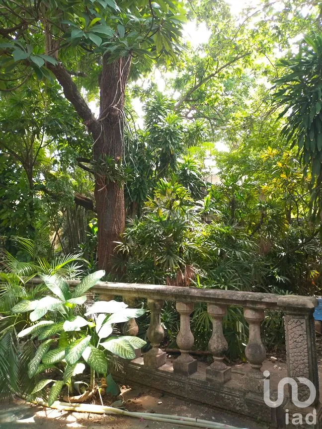 Casa en Venta en Mérida Centro, Mérida, Yucatán | NEX-60675 | iad México | Foto 12 de 19