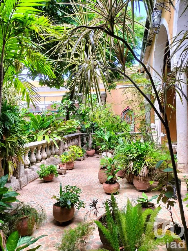 Casa en Venta en Mérida Centro, Mérida, Yucatán | NEX-60675 | iad México | Foto 9 de 19