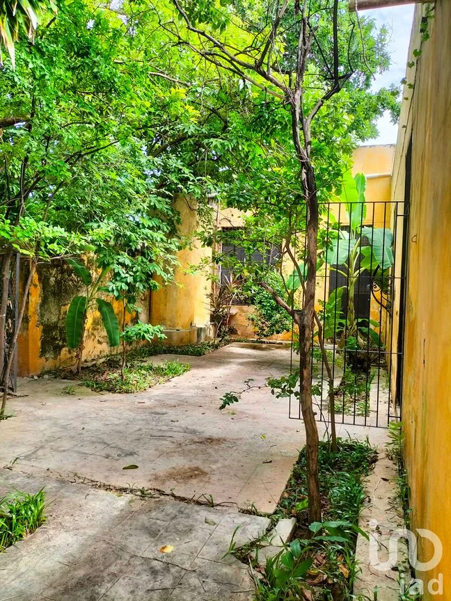 Casa en Venta en Mérida Centro, Mérida, Yucatán | NEX-60675 | iad México | Foto 10 de 19