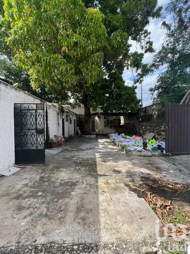 Casa en Venta en Mérida Centro, Mérida, Yucatán | NEX-66149 | iad México | Foto 10 de 12