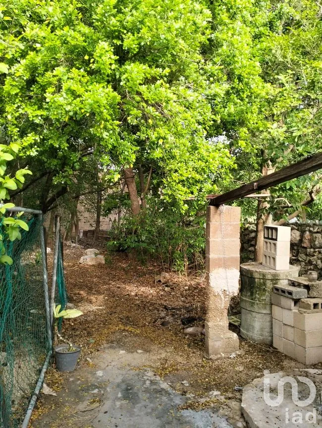 Casa en Venta en Mérida Centro, Mérida, Yucatán | NEX-67710 | iad México | Foto 11 de 15