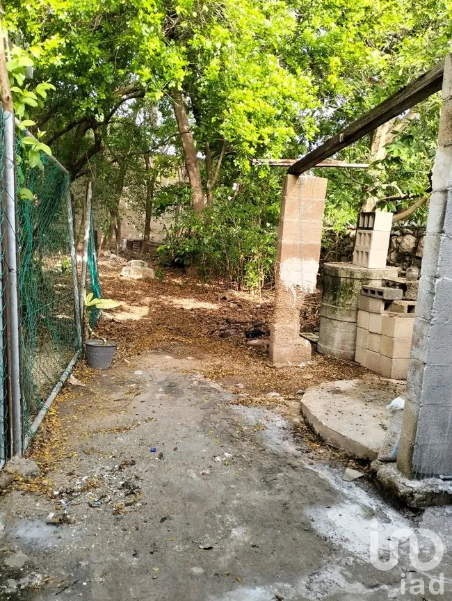 Casa en Venta en Mérida Centro, Mérida, Yucatán | NEX-67710 | iad México | Foto 14 de 15