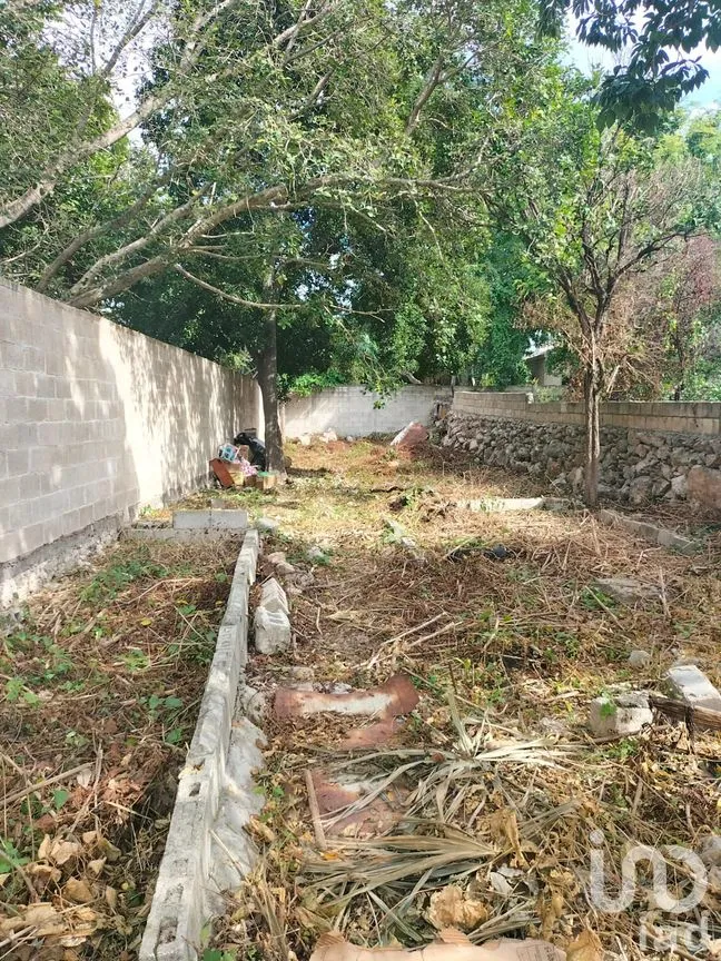 Casa en Venta en Mérida Centro, Mérida, Yucatán | NEX-67734 | iad México | Foto 11 de 14