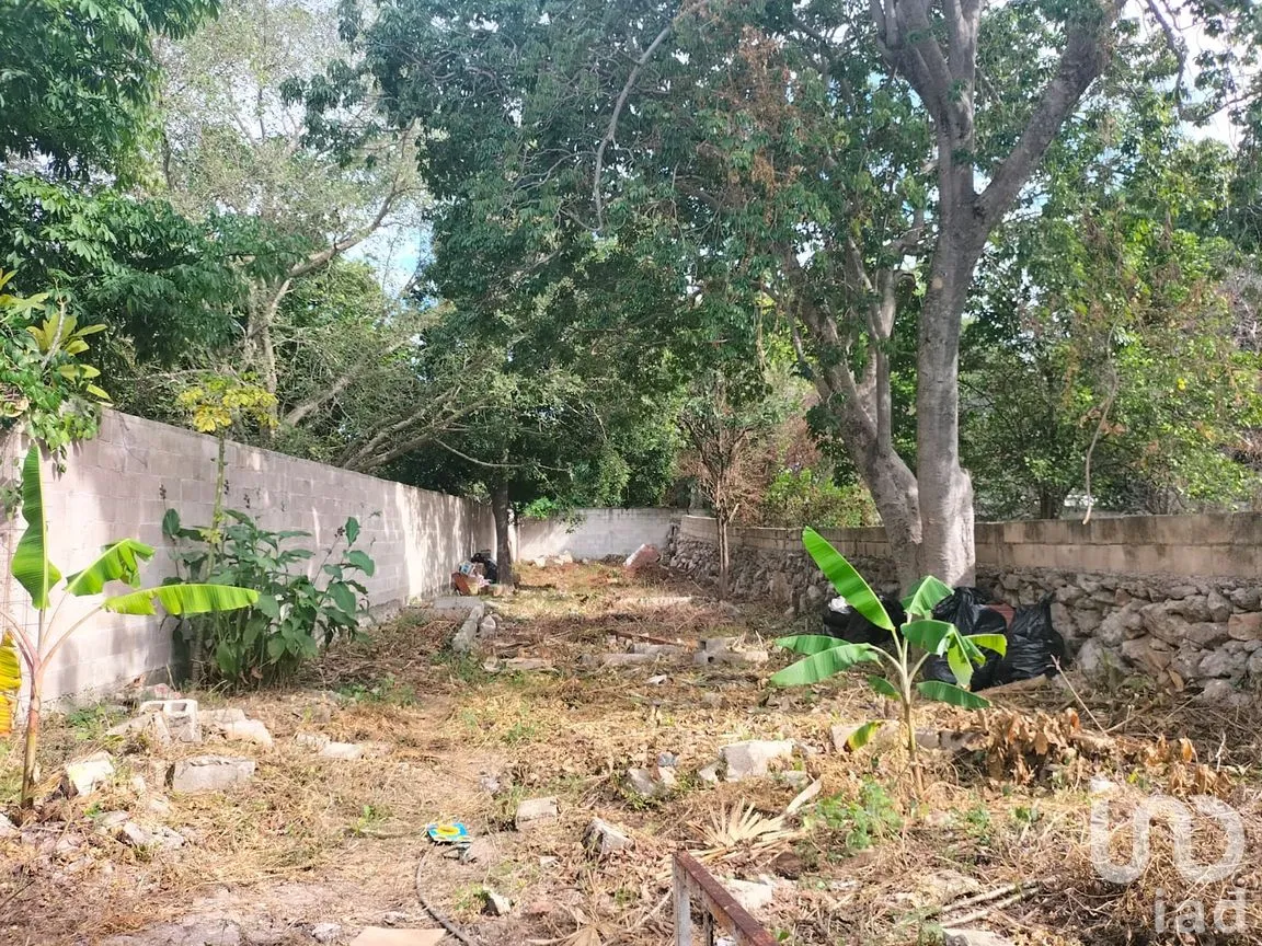 Casa en Venta en Mérida Centro, Mérida, Yucatán | NEX-67734 | iad México | Foto 12 de 14